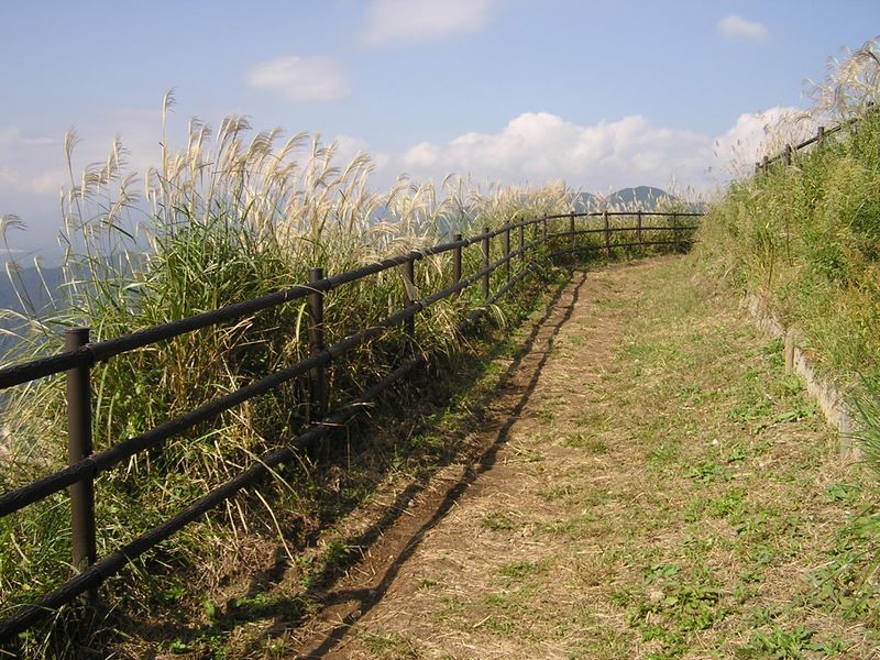 近くに牛がいたら良かったのですが...