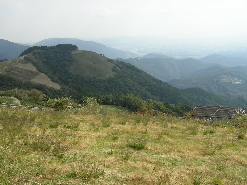 遠方に酒匂川、右手下方にこれから行く共和小学校が見える