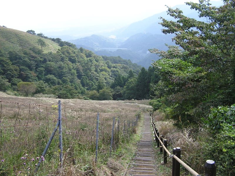 手すりつきの階段