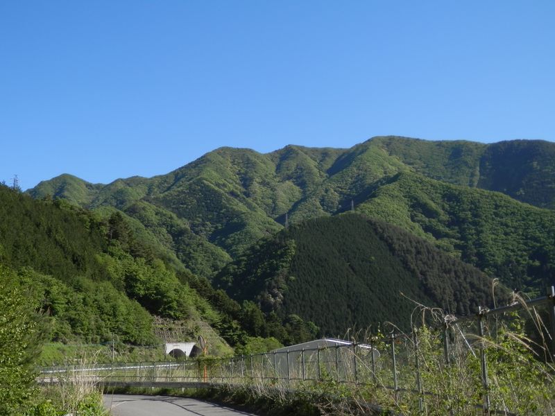 トクモリ南尾根と、お坊山東峰南尾根