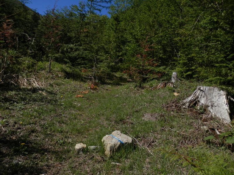 送電線巡視路への取り付きが分からない