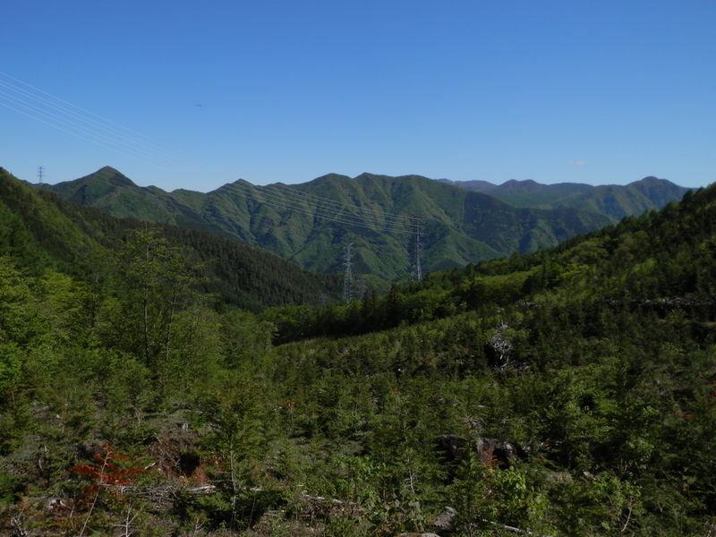 笹子雁ヶ腹摺山（左）から大谷ヶ丸、滝子山まで