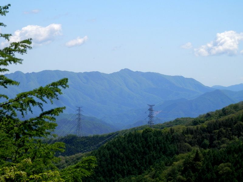 権現山稜を望む