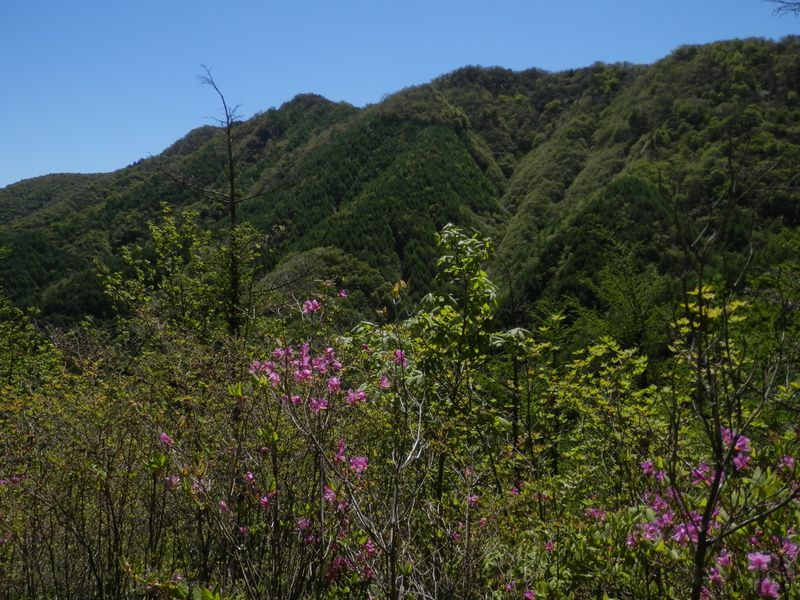 本社ヶ丸（やや左の最高峰）を望む