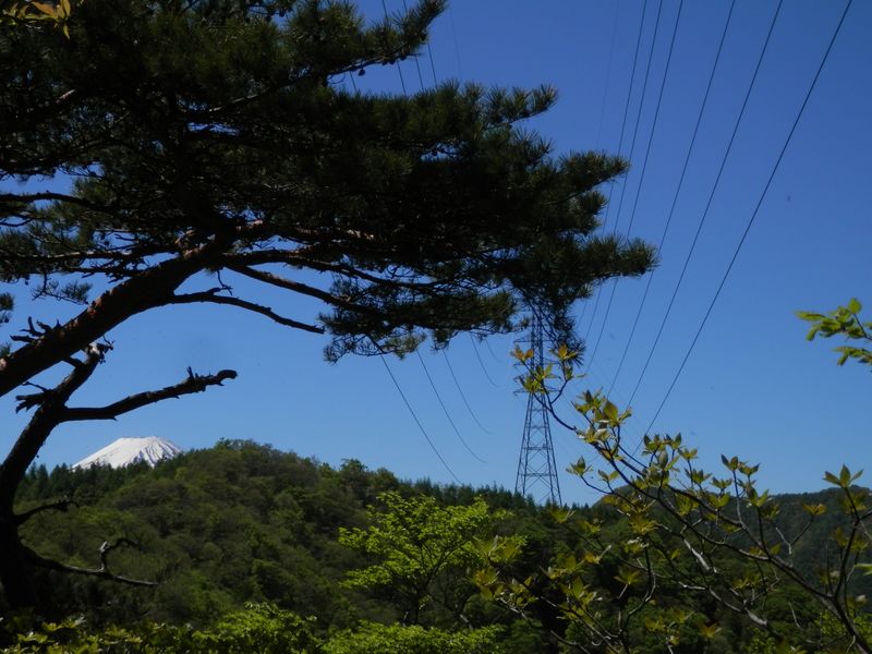 送電線を見上げる