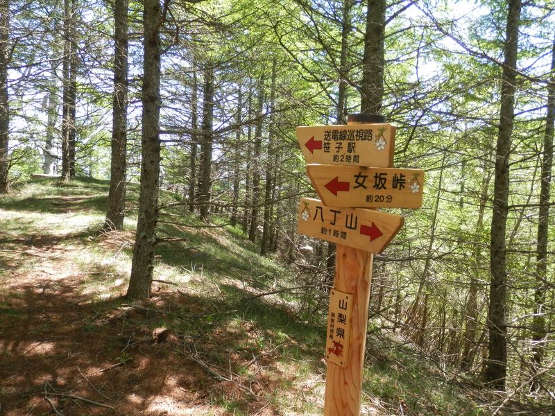 送電線巡視路分岐