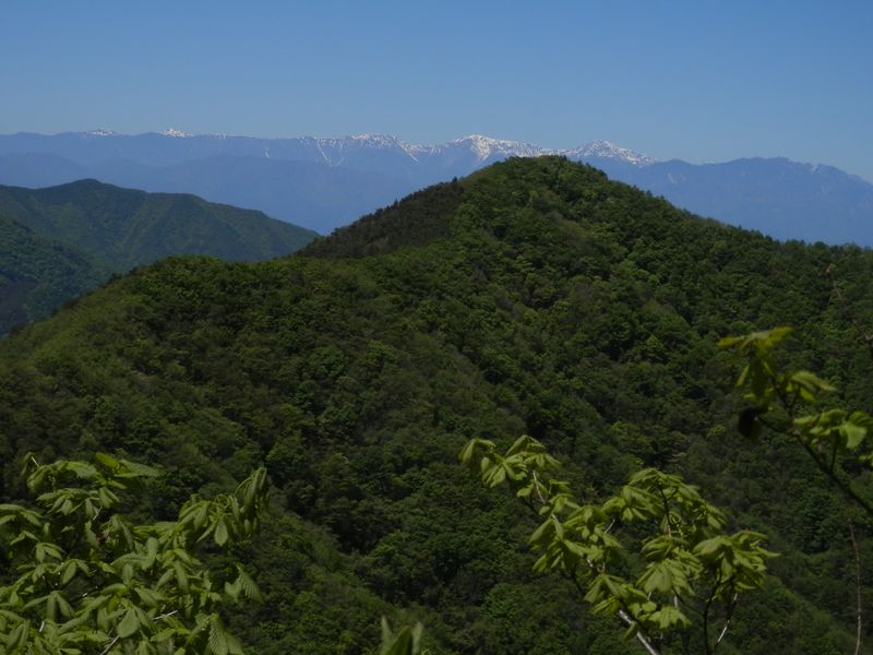 行く手に、ボッコノ頭を望む