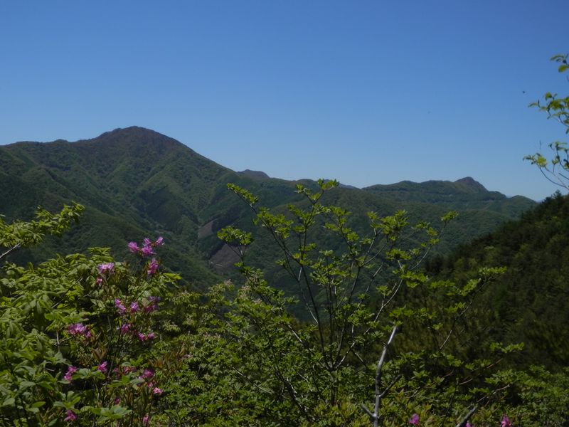 御坂黒岳から釈迦ヶ岳まで
