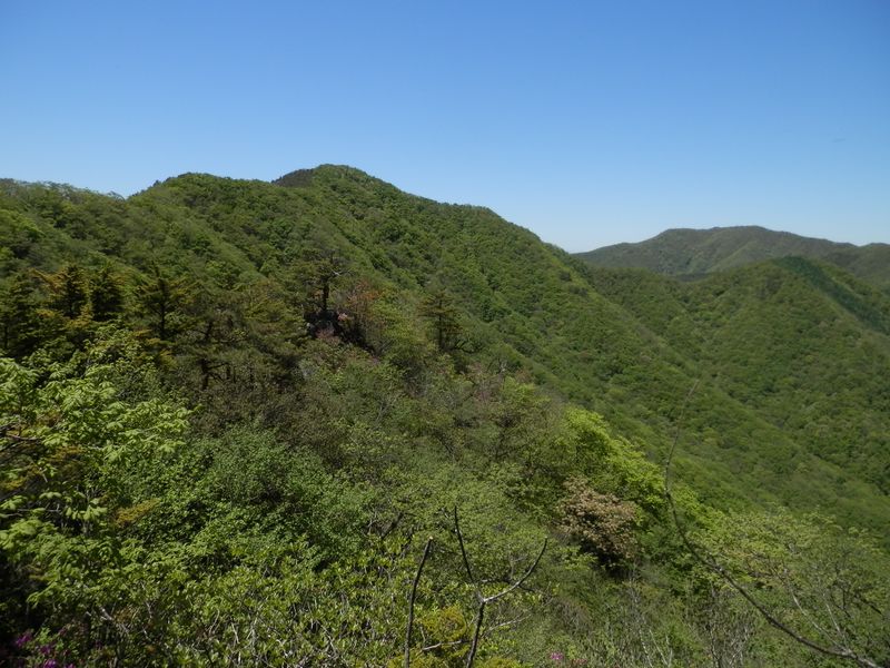 ボッコノ頭と京戸山