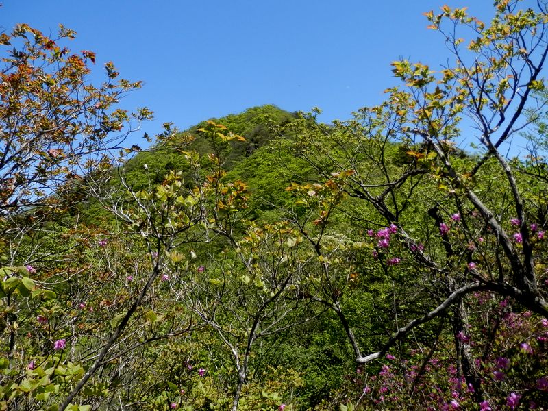 大沢山を振り返る