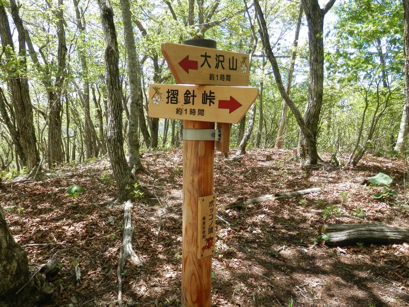 ボッコノ頭に到着