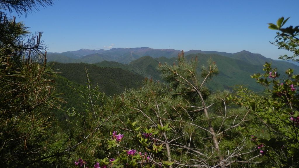 大菩薩嶺から滝子山まで