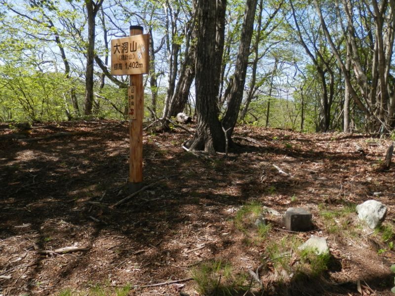 大洞山と三角点