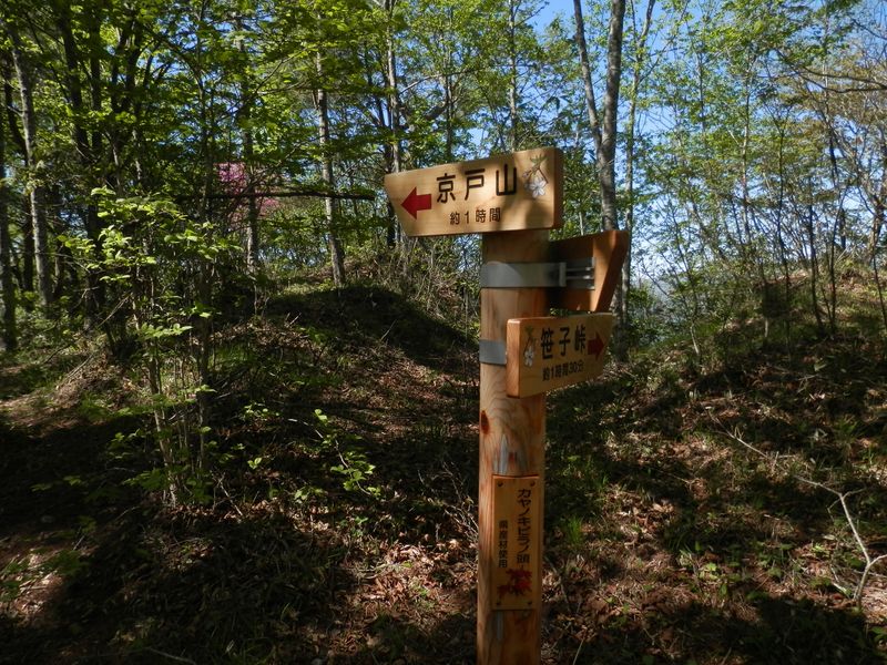 カヤノキビラノ頭