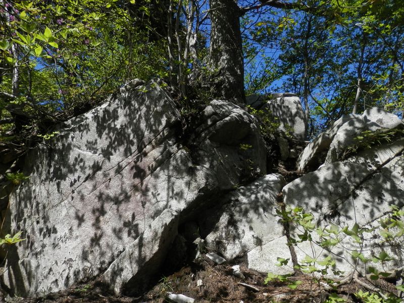 岩肌に粋な模様