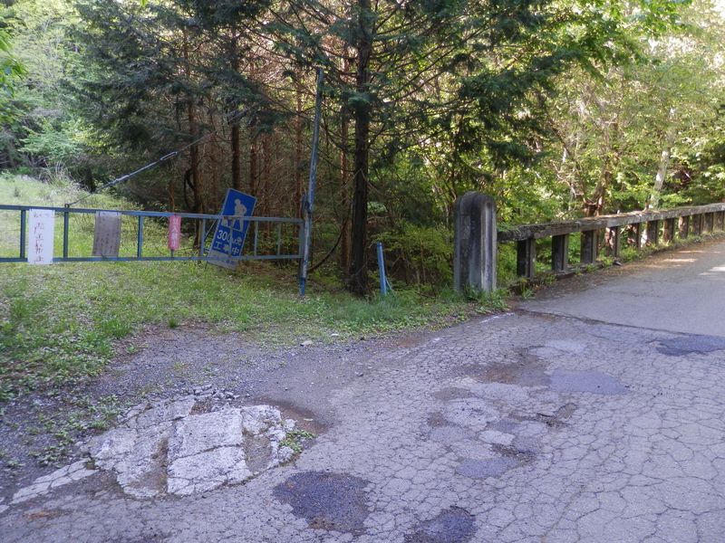 新田沢に架かる橋と出合う