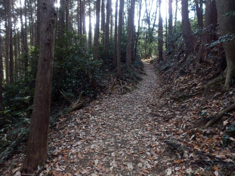 西山高取を目指す