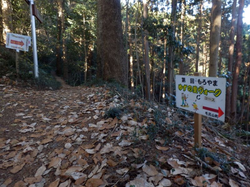 ウォーキングコース