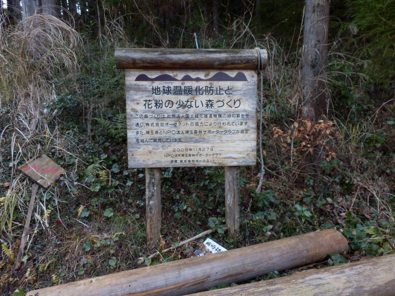 花粉の少ない森づくり