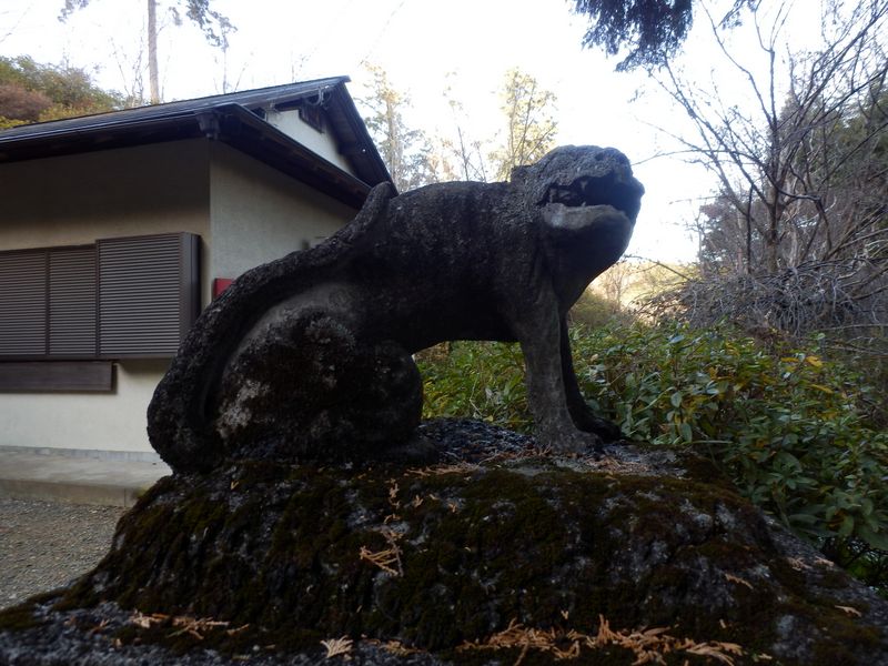 モデルはオオカミかな？