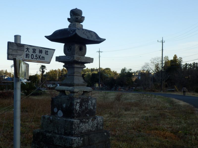 犬と散歩する人