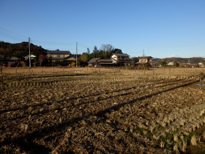 電柱の影がとても長くなった