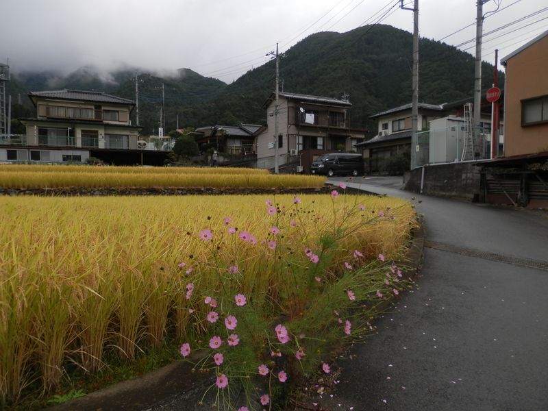 峰ノ山を見ながら左折