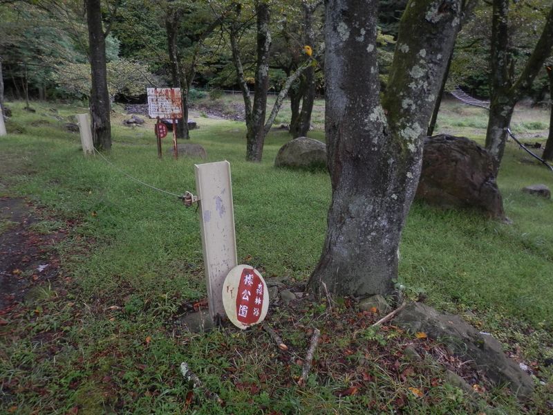櫻公園で準備運動
