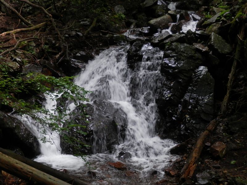 沢沿いにいくつもの小滝が見られる