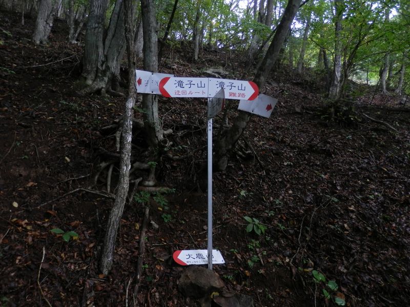 この分岐では大鹿山方向に進む