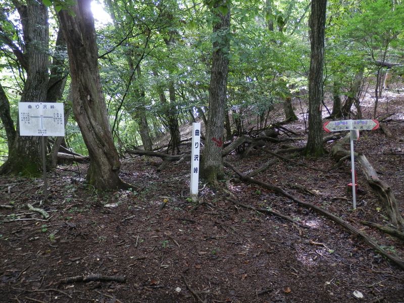 曲り沢峠に到着