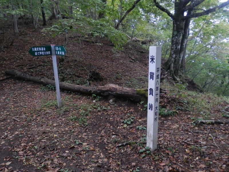 米背負峠