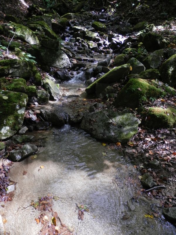 大谷ヶ丸 -- 砂床と清流