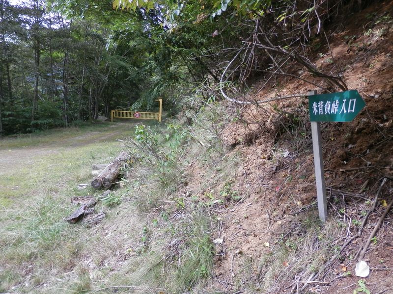 大蔵沢林道に下り立つ