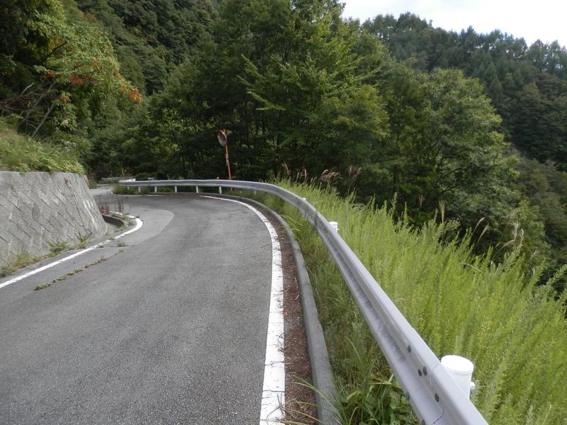 崩落後、きれいに修復された大蔵沢林道