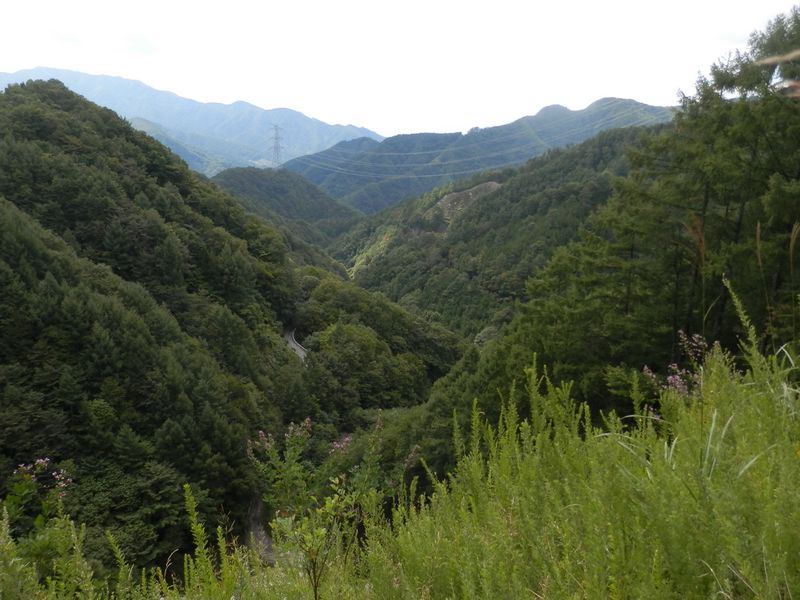 大蔵沢林道から西方を望む