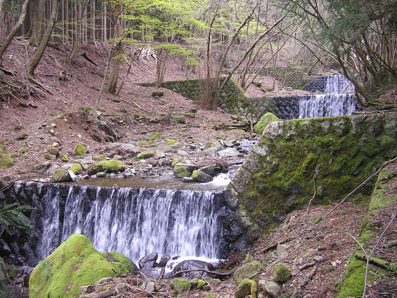 大山ミニアドベンチャー -- カンスコロバシ沢