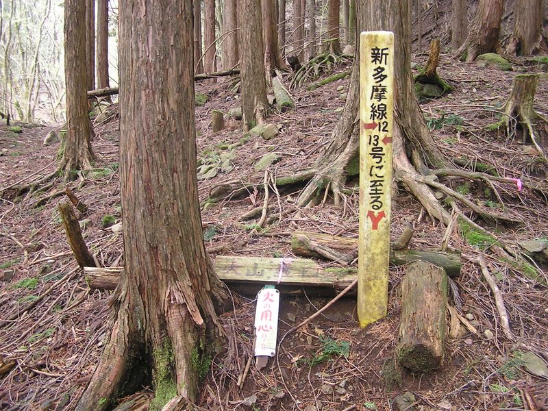 大山ミニアドベンチャー -- 送電鉄塔を示す標識の根元に、朽ちかけた道標が大山を指している