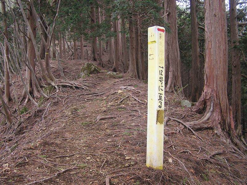 大山ミニアドベンチャー -- 大山へは、主尾根をひたすら登る