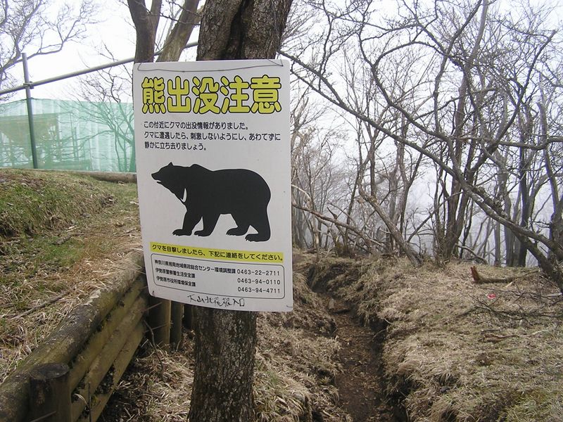 大山ミニアドベンチャー -- ここから、大山北尾根に入る