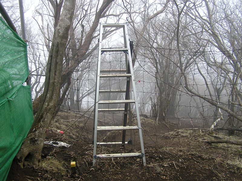 大山ミニアドベンチャー -- 鹿柵を乗り越えるための脚立