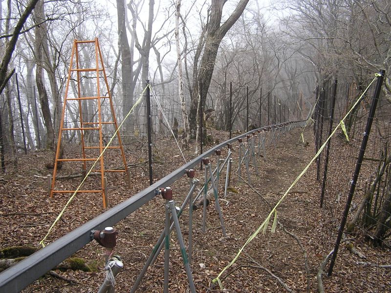 大山ミニアドベンチャー -- 森林整備のためのモノレール