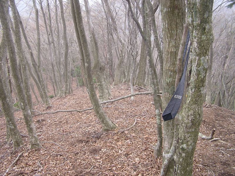 大山ミニアドベンチャー -- この日見かけた最後のネクタイ