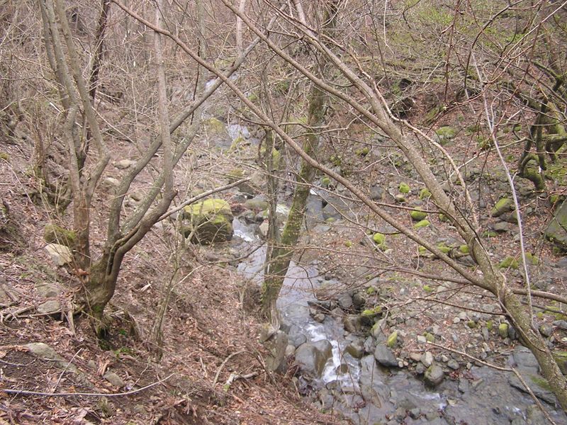 大山ミニアドベンチャー -- 石尊沢に降り立つ