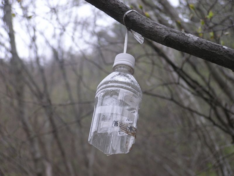 大山ミニアドベンチャー -- 唐沢峠へ、と書かれている