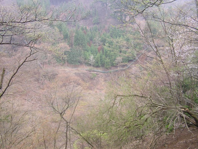 大山ミニアドベンチャー -- ネクタイ尾根の下端を望む