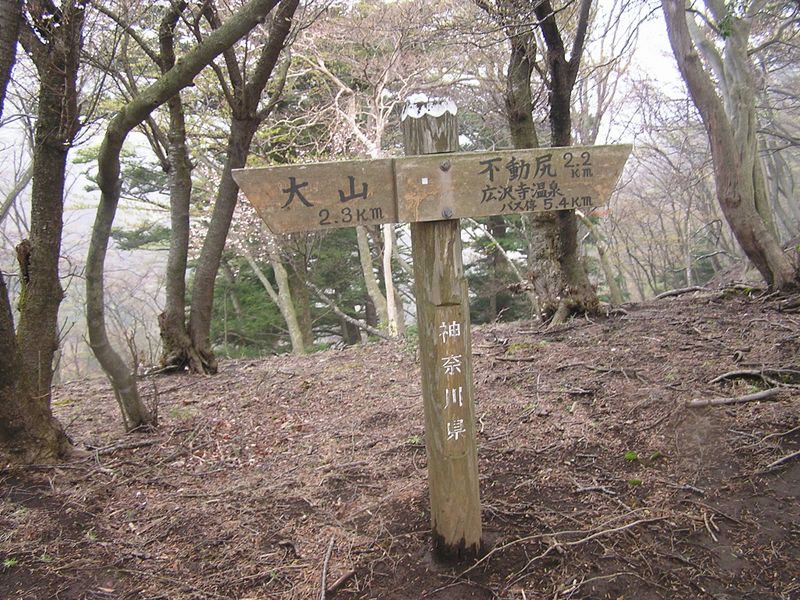 大山ミニアドベンチャー -- 唐沢峠に到着
