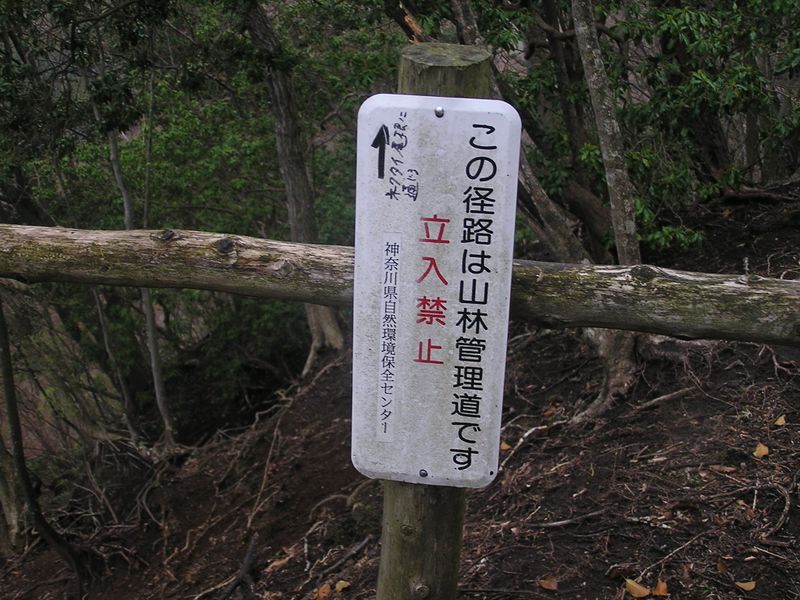 大山ミニアドベンチャー -- 登ってきた道は、立入り禁止だったのだ