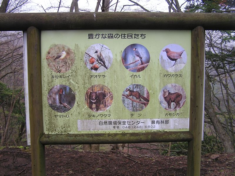 大山ミニアドベンチャー -- ツキノワグマとは出会いたくない。（唐沢峠にて）