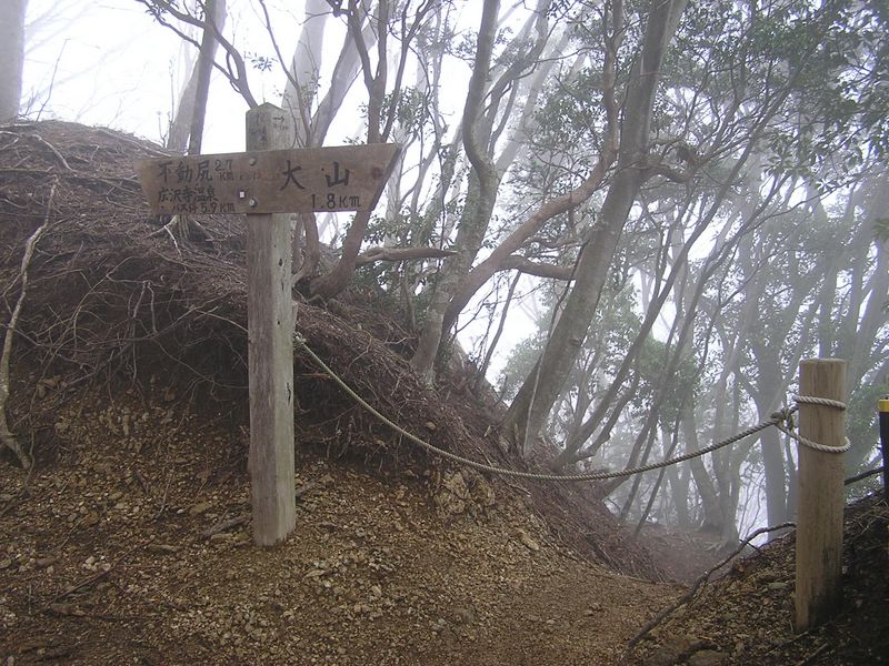 大山ミニアドベンチャー -- 梅ノ木尾根への入口